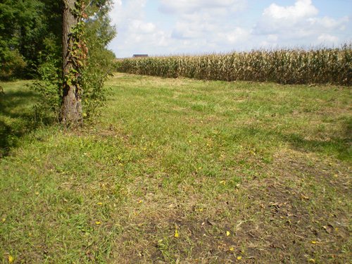 Property photo 29 - 75+/- Acres in 9 Tracts